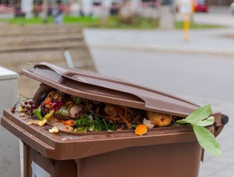 basura-organica
